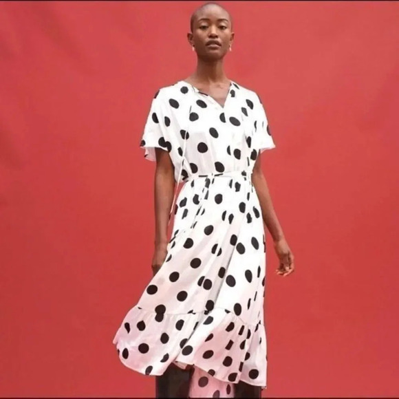 - Banana Republic factory polka dot dress - Picture 1 of 8